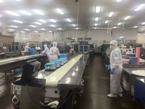 南充贝斯特 专业出国劳务工签与全方位出入境服务